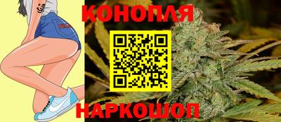 Альфа ПВП Можга