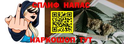 Альфа ПВП Можга