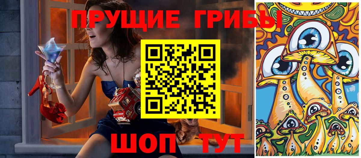 Галлюциногенные грибы Psilocybine cubensis  Галлюциногенные грибы прущие грибы  Тамбов  Вход с VPN 